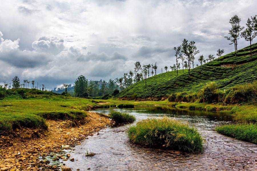 Valparai