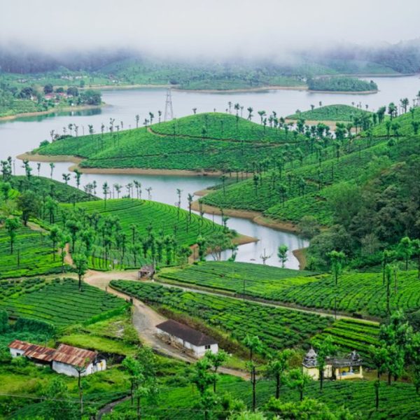 Valparai: Famous Serenity in the Lap of the Western Ghats