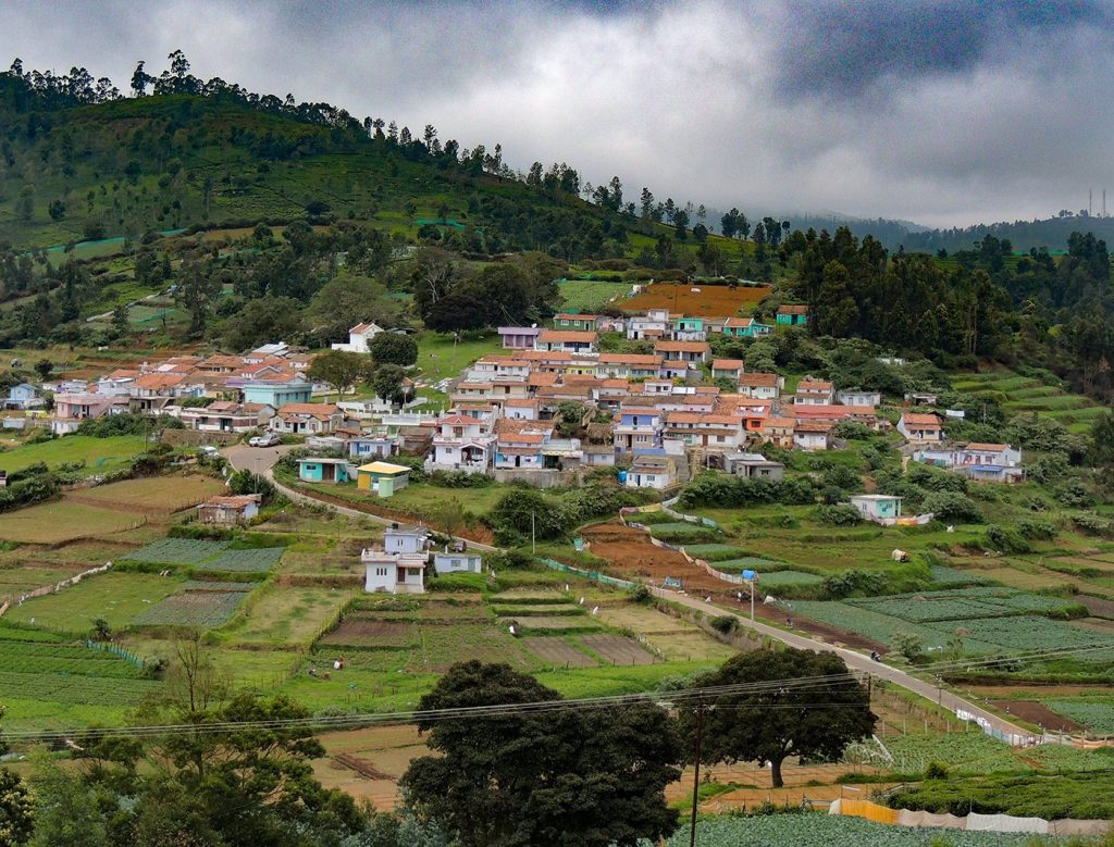 nilgiri