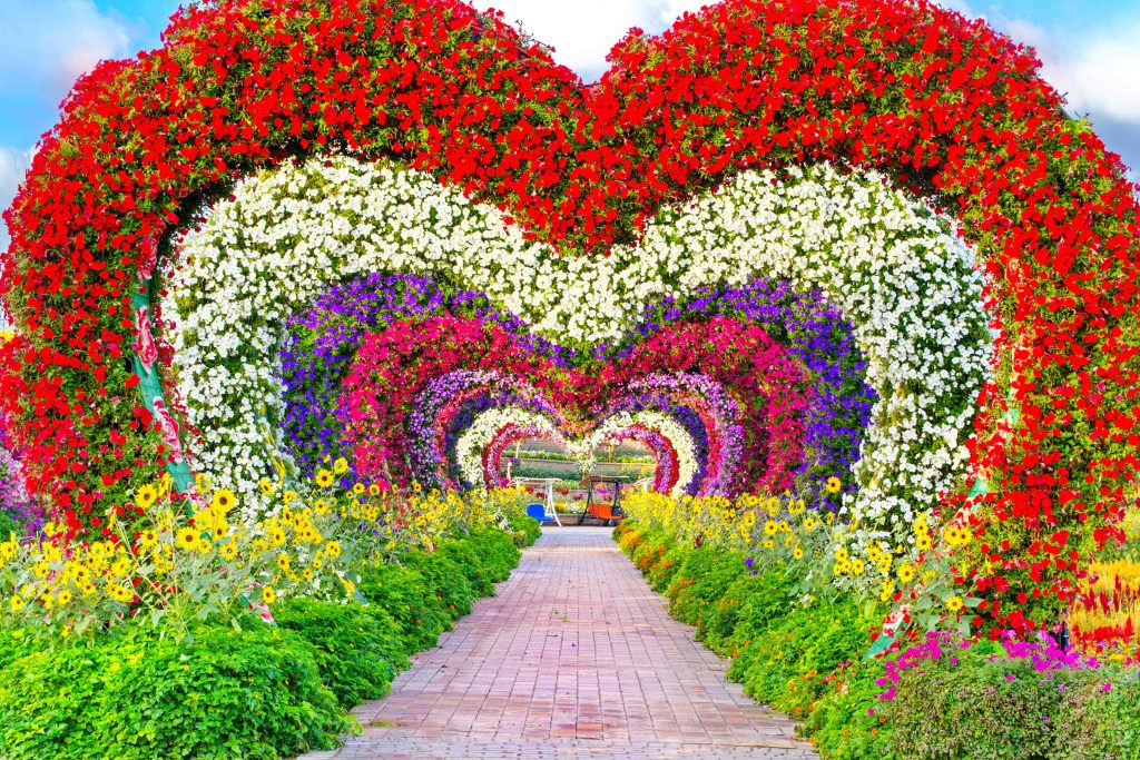 dubai miracle garden