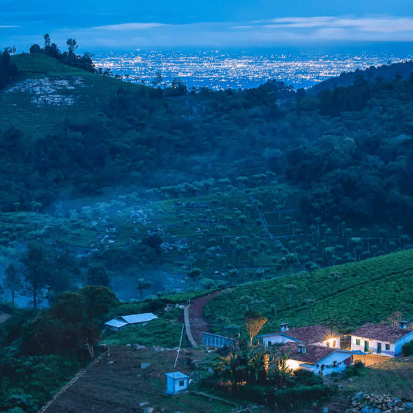 Discovering the Famous About Nilgiri Southern India