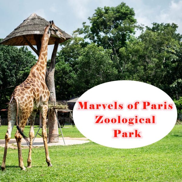 Unveiling the Top Wonders of Paris Zoological Park