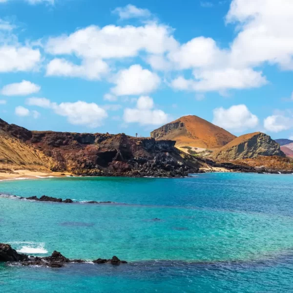 Embark on a Natural Odyssey: Discovering the Marvels of the Galapagos Islands