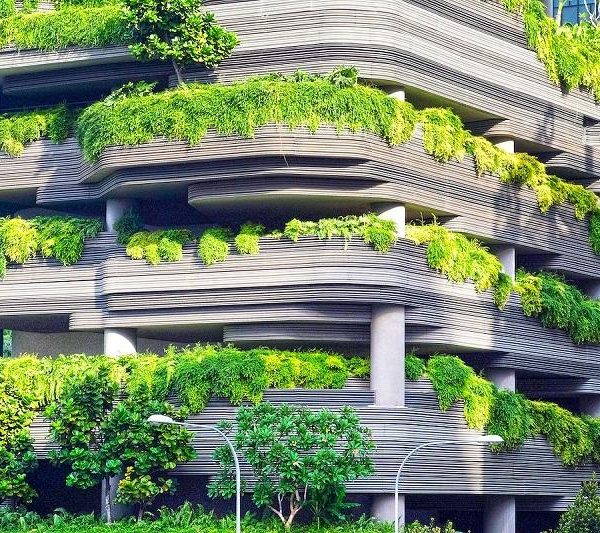 Planning a Sustainable Getaway? Check Out the Top 5 Green Cities to Visit in 2024