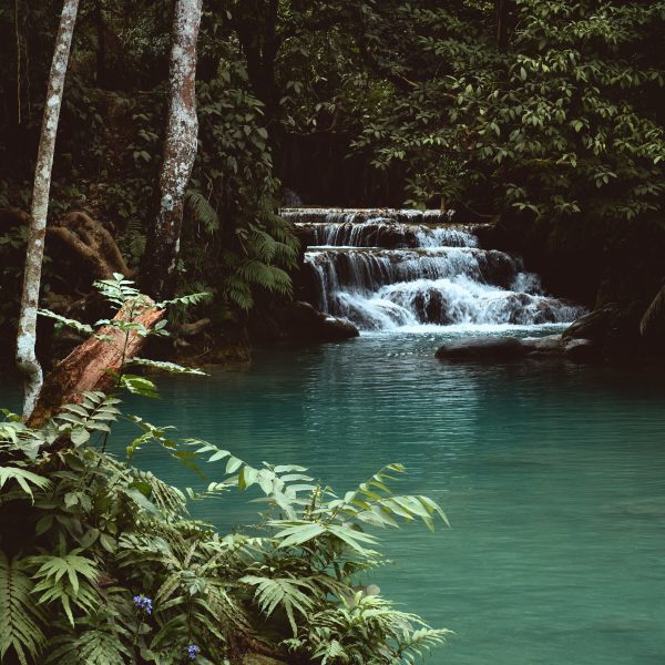 Discovering Bali’s Best Waterfalls: Top Picks and Ideal Time to Visit